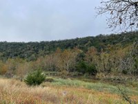 Fall Foliage - 11-6-25 (1).jpg Fall foliage