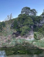 LM 1 10-20-25.jpg Hillside view