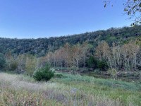 LM-2-10-20-25.jpg view of grassy area and trees - no color showing.