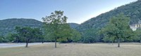 LM-5-10-20-25.jpg Day use area with a few green maple trees.