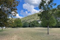 LM-Foliage-1-10-9-25.jpg Field with a few green maple trees