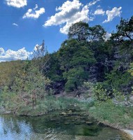 LM-Foliage-3-10-9-25.jpg Hillside beyond creek