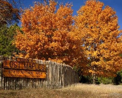 lmsna_112405_500x400.jpg