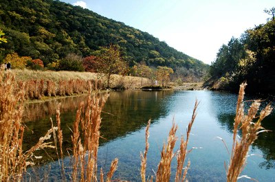 River view with grass in the foreground