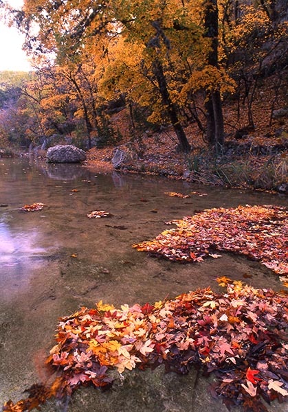 Lost Maples State Natural Area Nature — Texas Parks & Wildlife Department