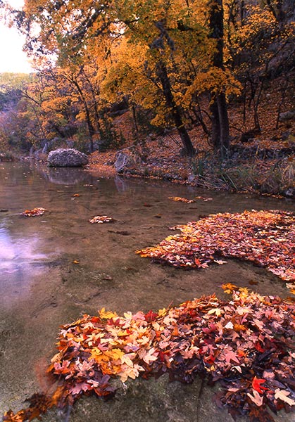 Lost-Maples_959.2_008_600p.jpg