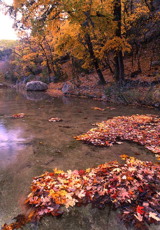 Lost-Maples_959.2_008_800p.jpg