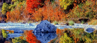 fall colors of Lost Maples
