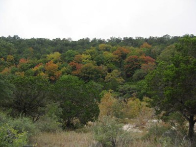 sabinalriver2_500x375.jpg
