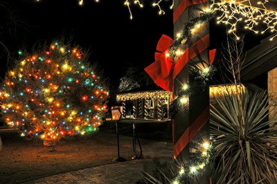 Park Tree Lighting (big)