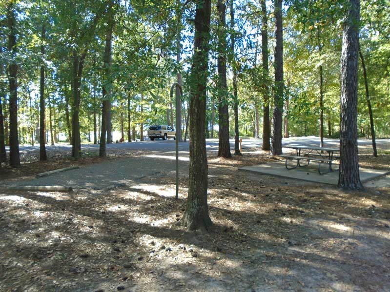 Site #73