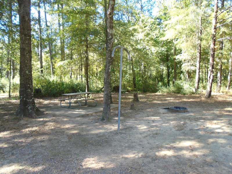 Site #40