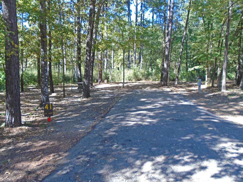 Site #41