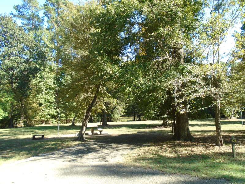 Martin Dies, Jr. State Park Campsites with Water — Texas ...