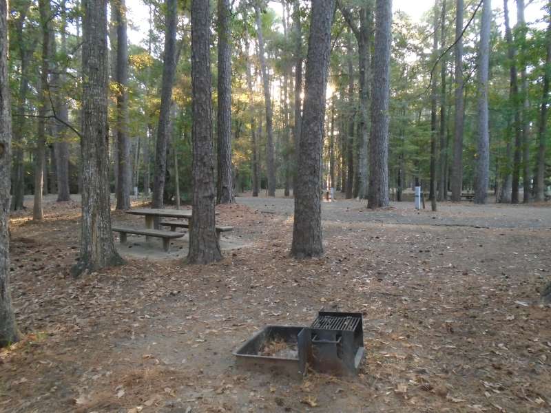 Martin Dies, Jr. State Park Campsites with Electricity (30 ...