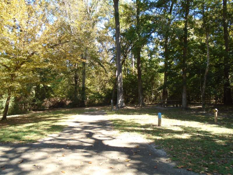 Martin Dies, Jr. State Park Campsites with Water and ...