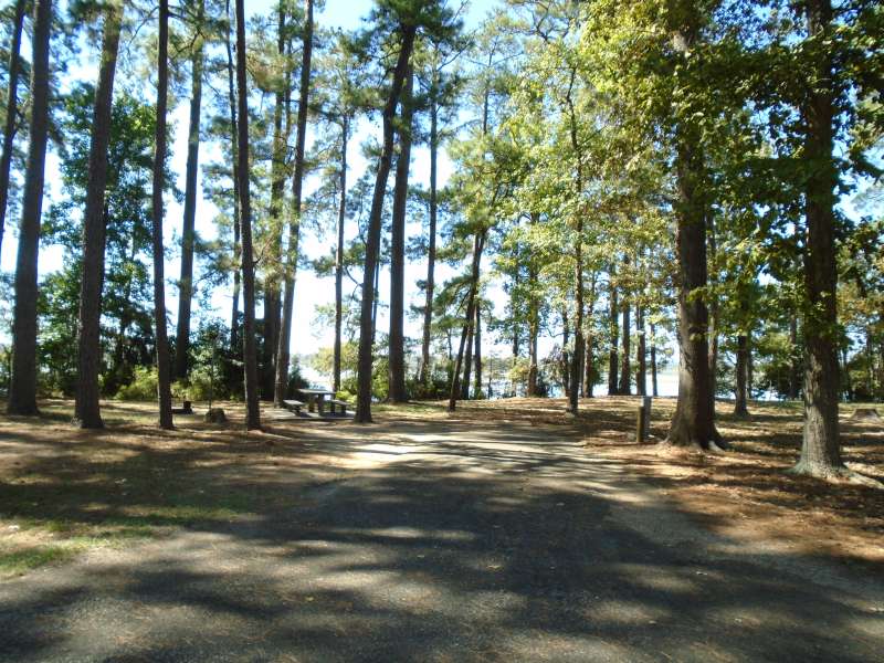 Martin Dies, Jr. State Park Campsites with Water and ...