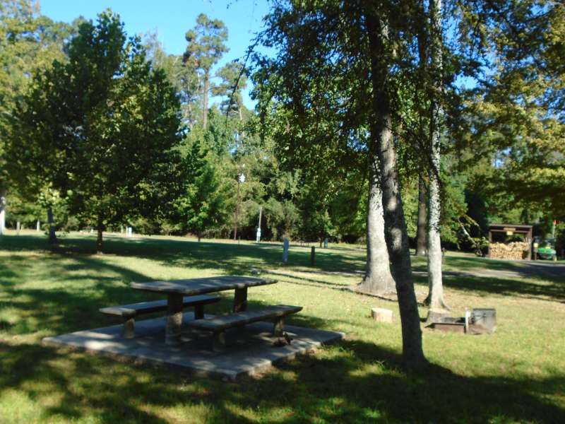 Martin Dies, Jr. State Park Campsites with Water and ...