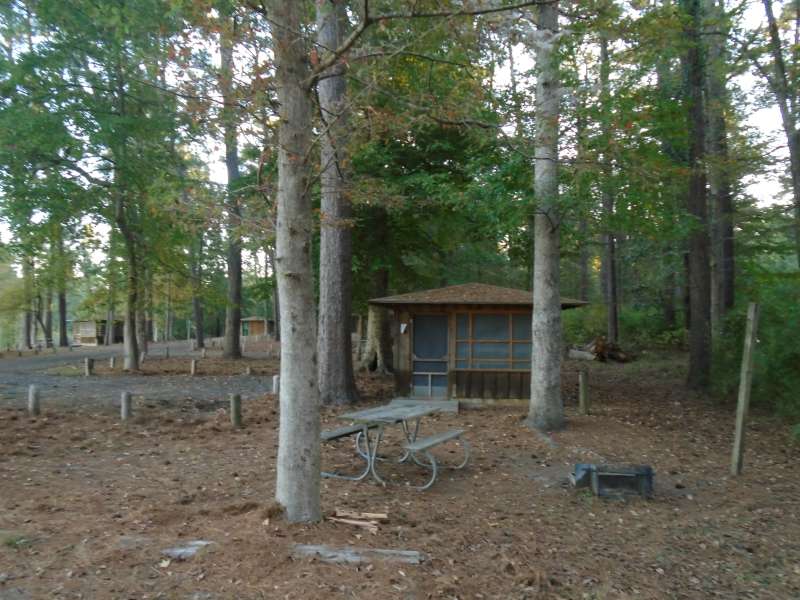 Screened Shelter #24 in the Walnut Ridge Unit. 