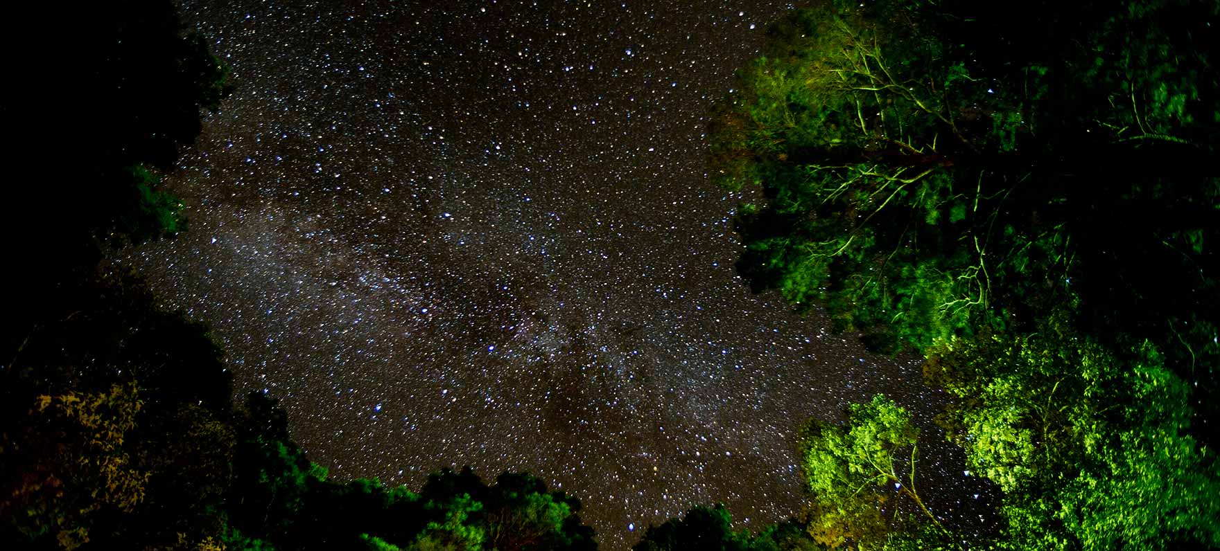 night sky in Martin Dies, Jr. State Park