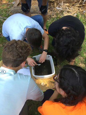 Kids poking in a bucket of soil