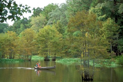 Man paddling a canoe