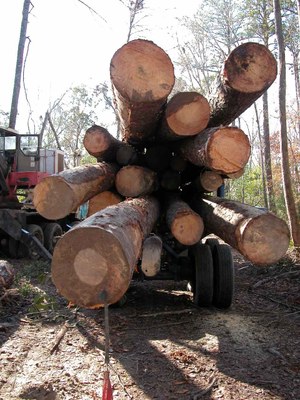 logs on a truck