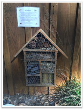 Insect house with compartments holding different natural materials