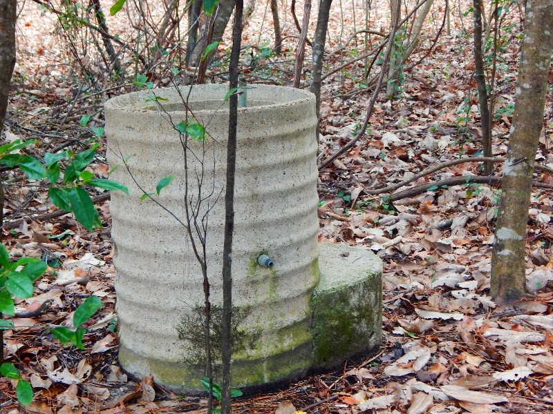 Water Fountain