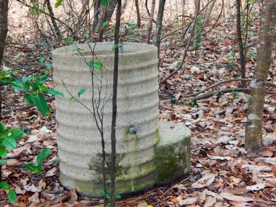 Water Fountain