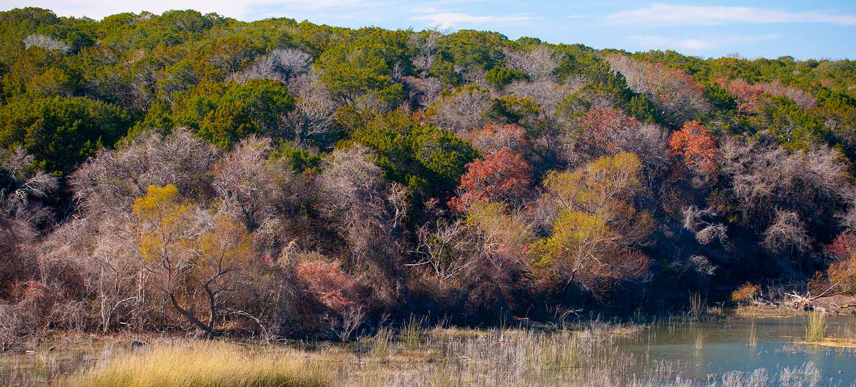 fall foliage at the Merdian SP