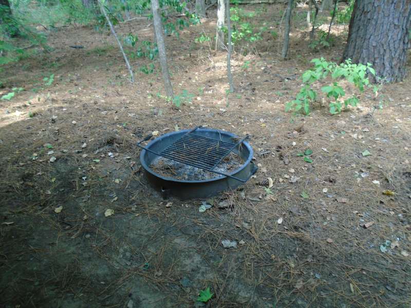 the fire ring for the Group Pavilion. 