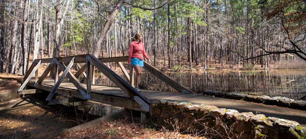 Woman walking on bridge over wetlands