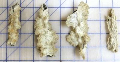 Fulgurite-2_web.jpg