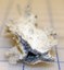 Fulgurite