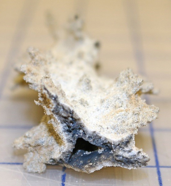 Fulgurite_web.jpg