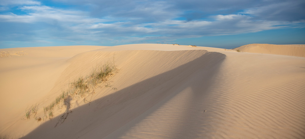 Sled Down the Dunes at Monahans Sandhills State Park in West Texas