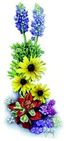 wildflower illustration