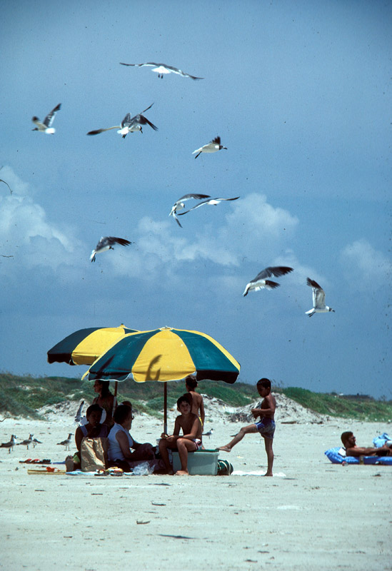A vintage photograph of the beach camping area. 