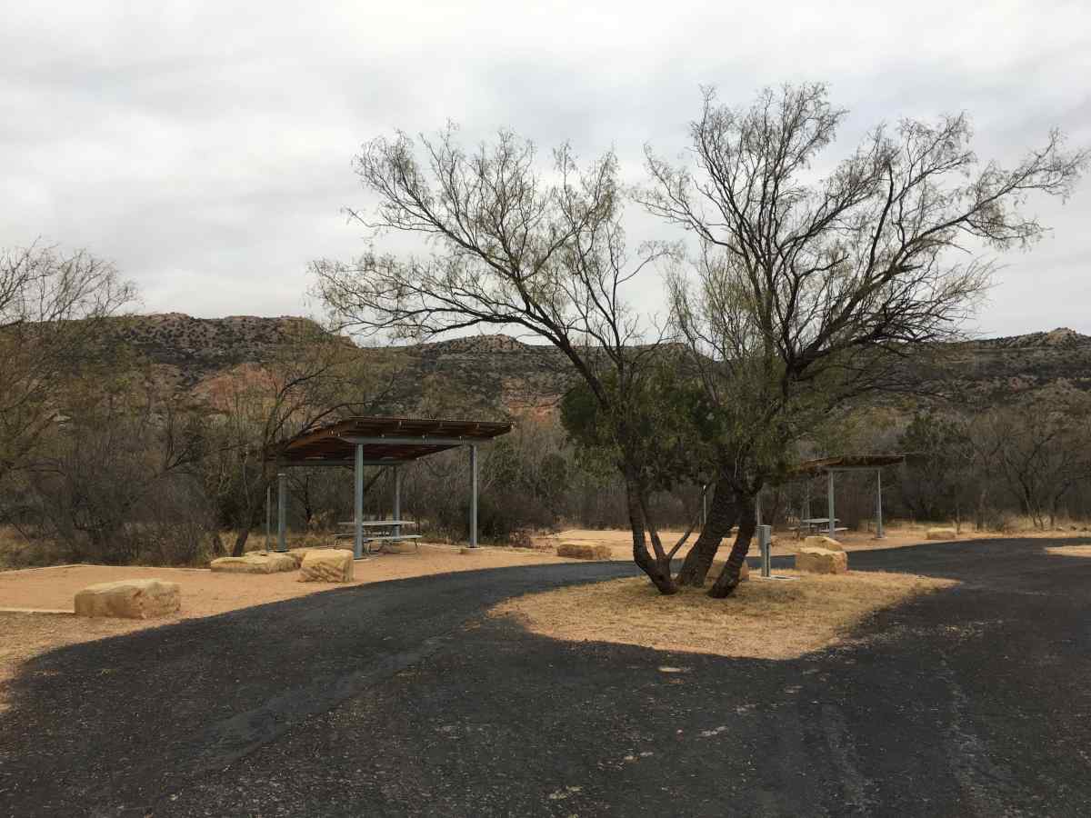 Campsites at the Wolfberry Group Camp. 