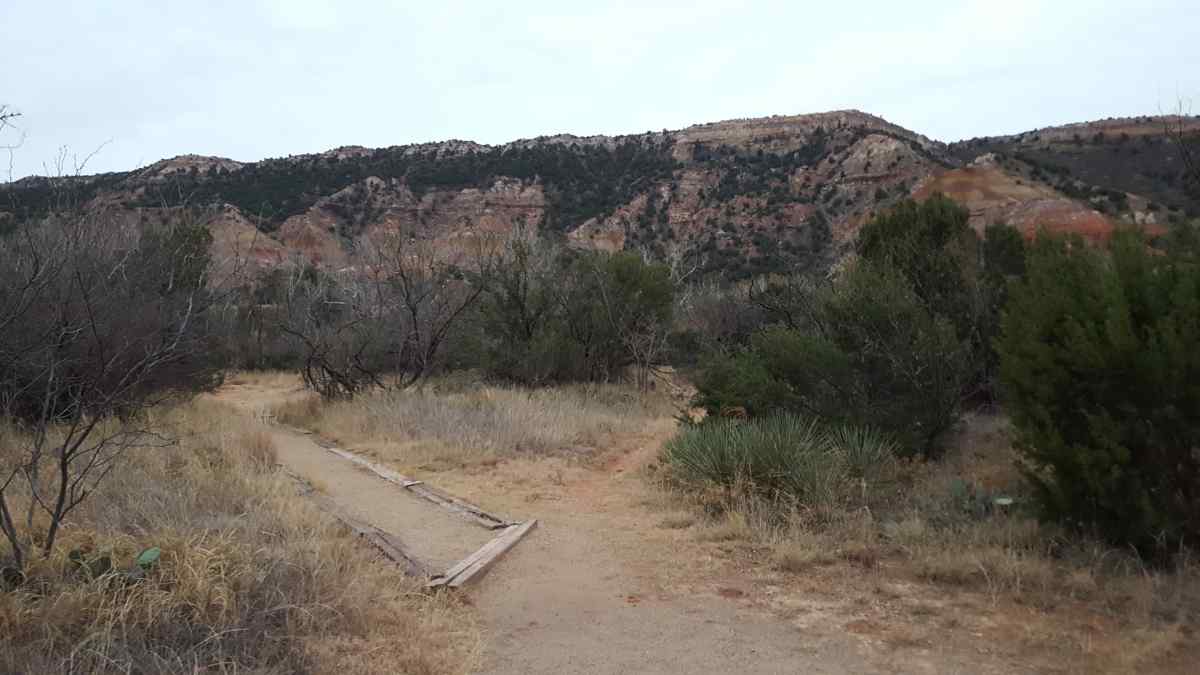 The Youth Group Camping Area. 