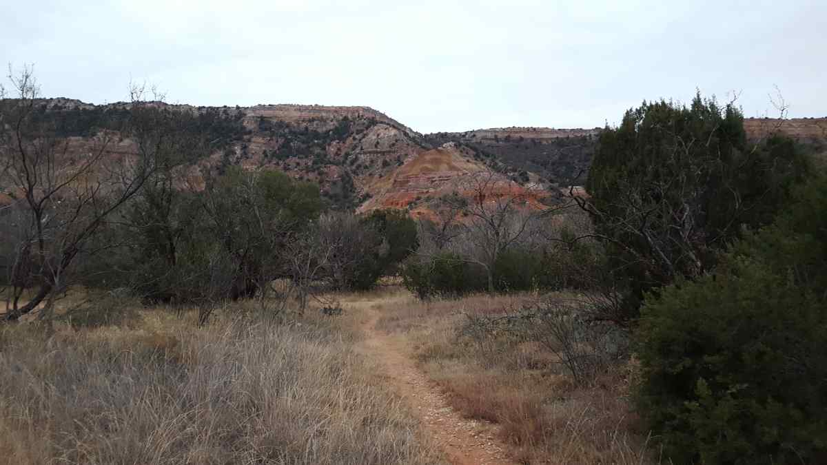 A trail from the Youth Group Camping Area. 