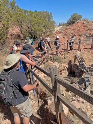 Students and ranger stand at a wooden railing along a trail.