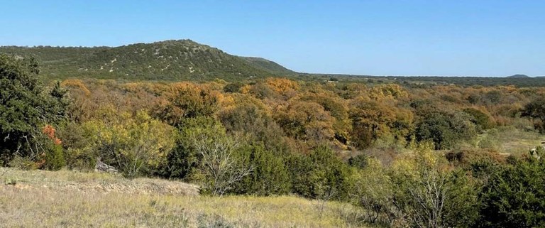 Fall Colors Landscape with a large area of rust-colored trees