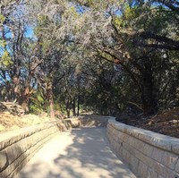 Concrete walkway through the woods