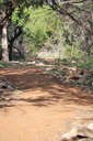 accessible trail