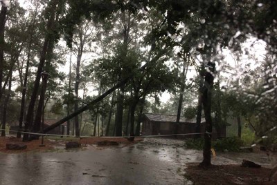 Bastrop-IMG_4019_web.jpg