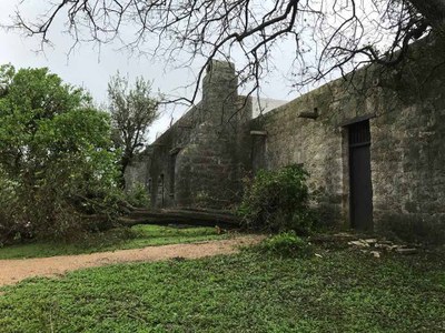 Trees toppled next to the mission