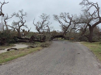 Park entry blocked by downed tree