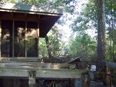 Brush piled on cabin porch